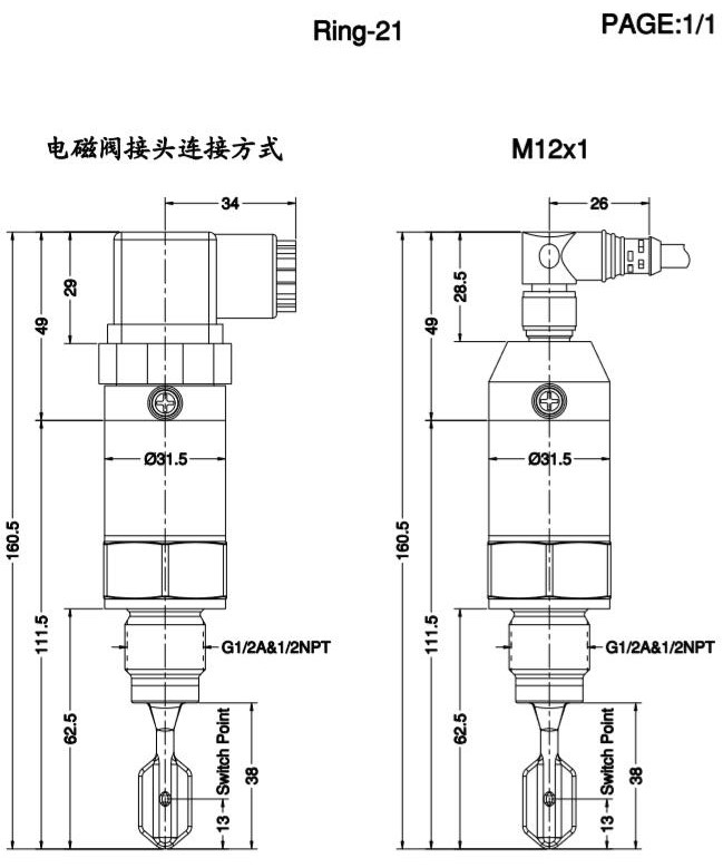 Ring-21緊湊型音叉液位開關產品尺寸圖（標準）